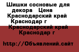 Шишки сосновые для декора › Цена ­ 5 - Краснодарский край, Краснодар г.  »    . Краснодарский край,Краснодар г.